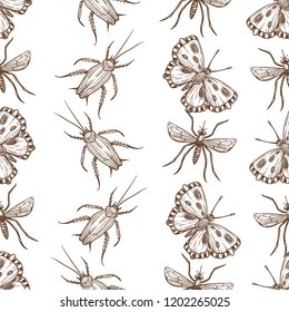 Insects that fly and creep monochrome sepia sketches seamless pattern.