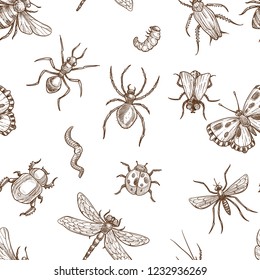 Insects that fly and creep monochrome sepia sketches seamless pattern. Big dragonfly, beautiful butterfly, tiny ant, scary spider, short worm, cute bee and round ladybug isolated cartoon flat vector i