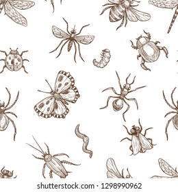 Insects that fly and creep monochrome sepia sketches seamless pattern. Big dragonfly, beautiful butterfly, tiny ant, scary spider, short worm, cute bee and round ladybug vector illustrations set.