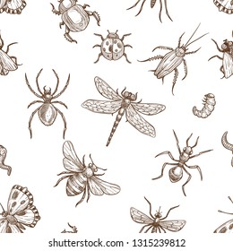 Insects that fly and creep monochrome sepia sketches seamless pattern. Big dragonfly, beautiful butterfly, tiny ant, scary spider, short worm, cute bee and round ladybug isolated vector illustrations 