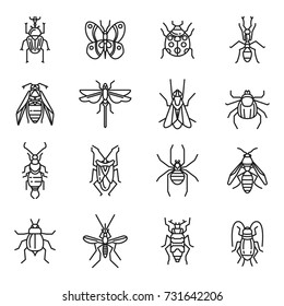 Insects thin line. The largest group in the animal kingdom, small creatures with six legs. Insects vector outline art illustration isolated on white background.