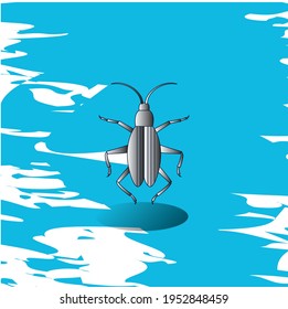insects, titan or goliath beetle. Gray. vector image with blue background