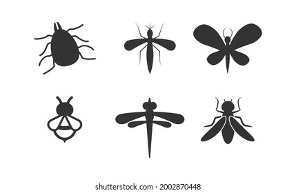 Insects vector icon set. Realistic vector insects set.
