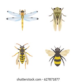 Insects vector icons