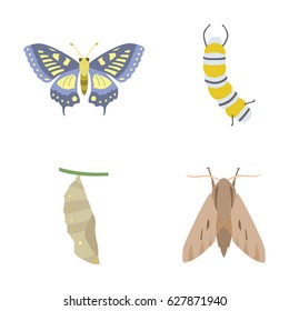 Insects vector icons