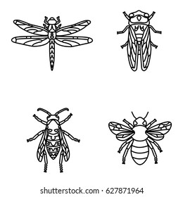 Insects vector icons