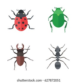 Insects vector icons