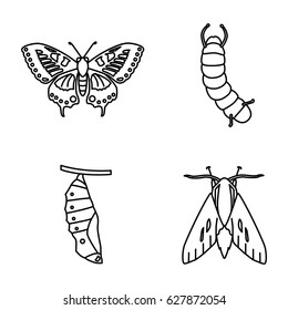 Insects vector icons