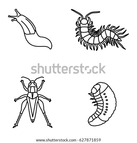 Insects vector icons