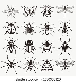 Insects vector illustration