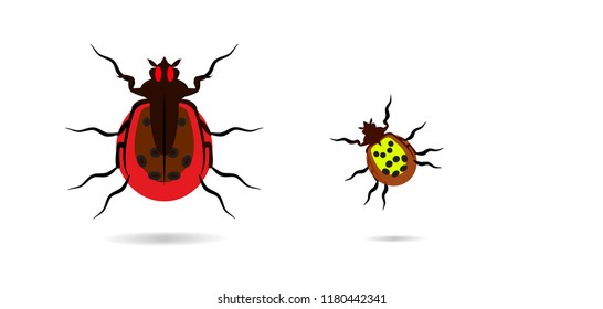 Insects vector illustration.Set of Dog tick icon. Tick full of blood isolated on white background