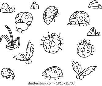  insects vector illustration . insects doodle
