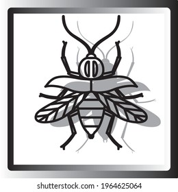 insects, vector image in black lines with white background and square frame with gradient tone.