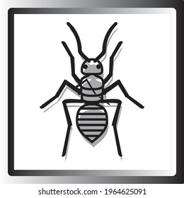 insects, vector image in black lines with white background and square frame with gradient tone.