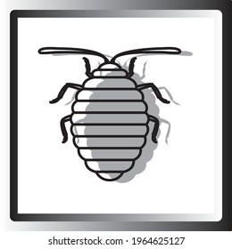 insects, vector image in black lines with white background and square frame with gradient tone.