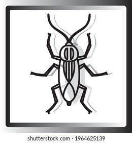insects, vector image in black lines with white background and square frame with gradient tone.