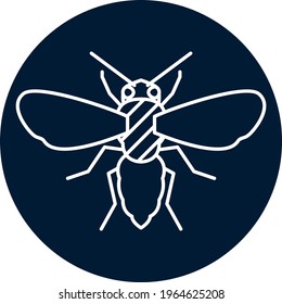 insects, vector image in white lines with circular background in dark tone.