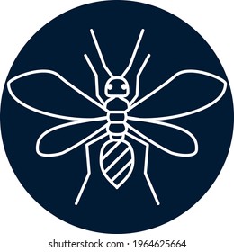 insects, vector image in white lines with circular background in dark tone.