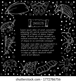Insects. Vector isolated illustration with insect. Design for biology books. Insects. Butterfly, ant, beetle, ladybug, caterpillar, bee. Black background. Printing on paper. 