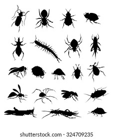 Insects Vector Set