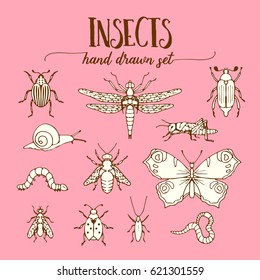 Insects vintage set of hand drawn doodle sketch