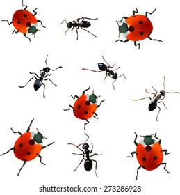 insects.pests, ants, beetles, ladybug