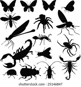 Insects-vector