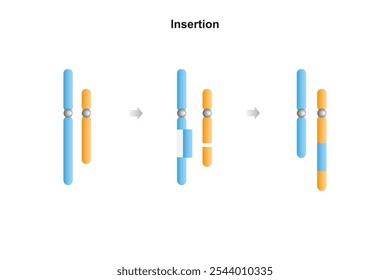 Inserção Cromossômica Mutação Ciência Design. Ilustração de vetor.