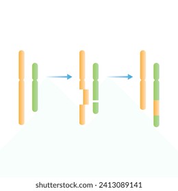 Insertion Chromosomal Mutation Scientific Design. Vector Illustration.