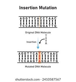 Diseño científico de la mutación de inserción. Ilustración vectorial.