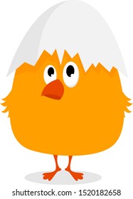Pollo con cáscara, ilustración, vector sobre fondo blanco.