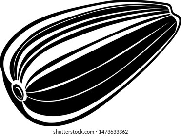 Inshell Sunflower Seed. Vector drawing.