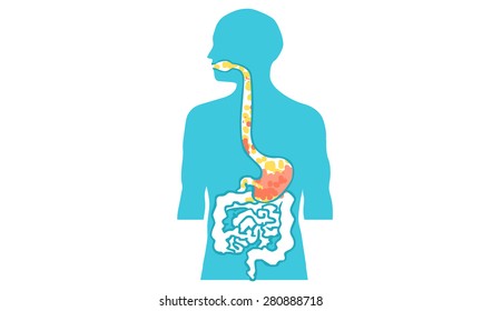 Inside Body Human Vector Illustration