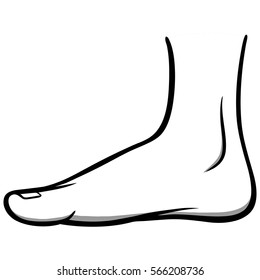 Inside Foot Illustration