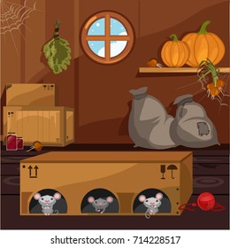 Inside the old farmhouse. The home furnishings. Mouse in a box arranged holes. Vector cartoon close-up illustration.