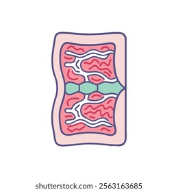 Insightful Cartilage Tissue Anatomy Diagram