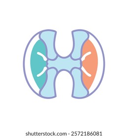 Insightful Radius Bone Anatomy Vector Design