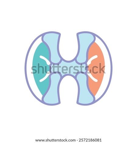Insightful Radius Bone Anatomy Vector Design