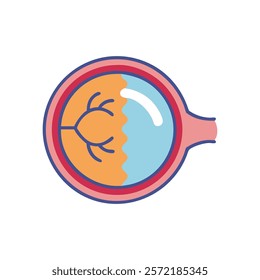 Insightful Retina Anatomy Vector Illustration Design