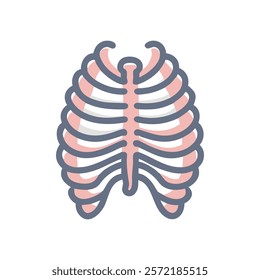 Insightful Rib Cage Anatomy Vector Design