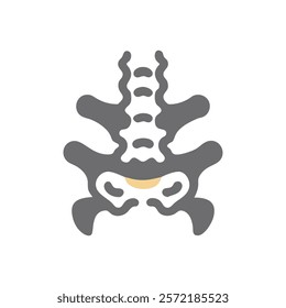 Insightful Sacral Vertebrae Anatomy Icon with Details