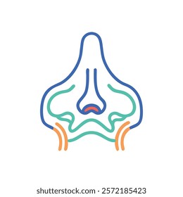 Insightful Sinus Anatomy Vector Icon Design