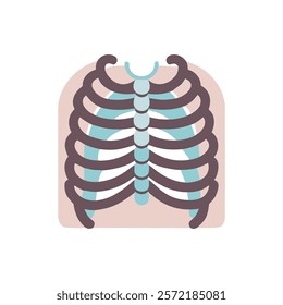 Insightful Sternum Anatomy Vector Icon Design