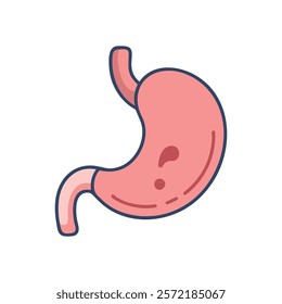 Insightful Stomach Anatomy Vector Design