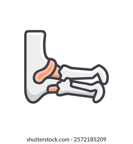 Insightful Talus Bone Anatomy Vector Design