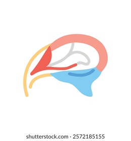 Insightful Temporalis Muscle Anatomy Vector Icon