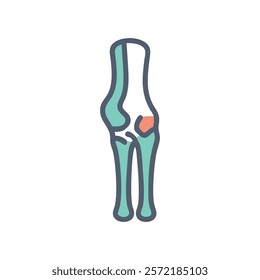 Insightful Tibia Anatomy Vector Design