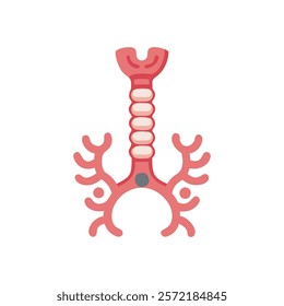 Insightful Trachea Anatomy Vector Design