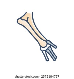 Insightful Ulna Anatomy Vector Icon