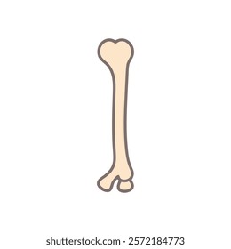 Insightful Ulna Anatomy Vector Icon Design